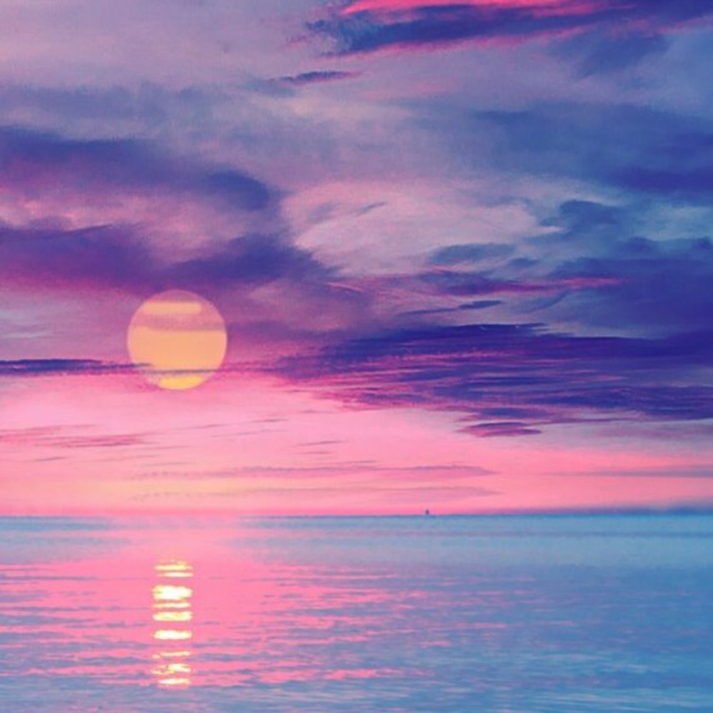 Meet your Posher, Priscilla